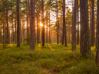 南京慢城枕松度假酒店