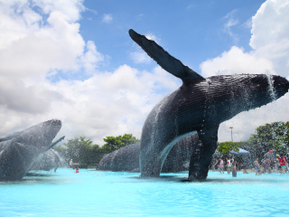 屏东国立海洋生物博物馆