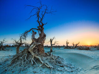塔克拉玛干沙漠
