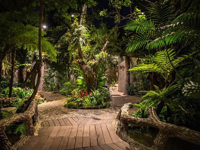 0购物,20人精致团,四星酒店,黑森林,可选梦境山,夜间动物园, 199换购