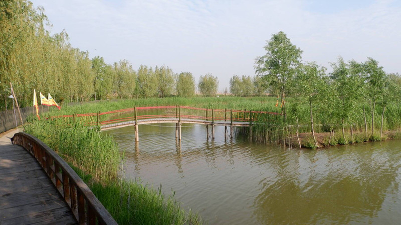   高邮湖芦苇荡湿地公园