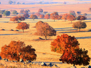 五角枫生态景区