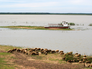 莫力庙水库沙湖