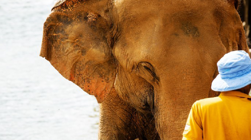 斯里兰卡科伦坡-品纳维拉-丹布勒-西格利亚-康