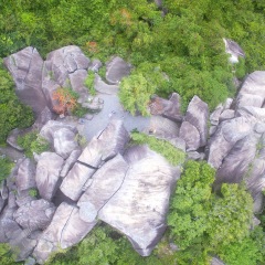 东山岭