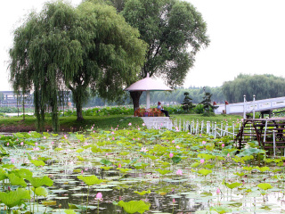 洪湖蓝田生态旅游风景区
