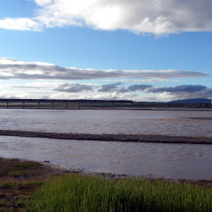 沱沱河