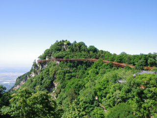 中峰