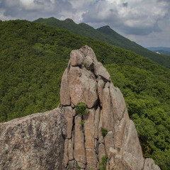 朱雀山森林公园