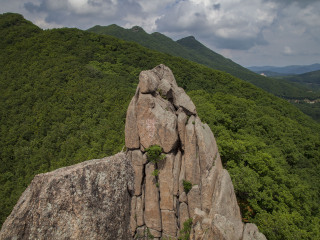 朱雀山森林公园