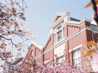 大阪造币局樱花通道