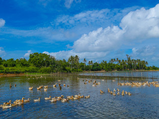 东寨港自然保护区