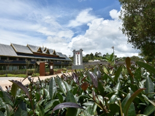 西双版纳茶马古道景区