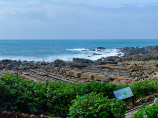 小野柳