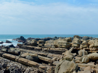 小野柳
