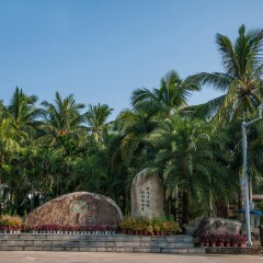 兴隆南国热带雨林