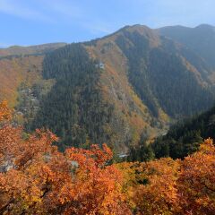 兴隆山景区