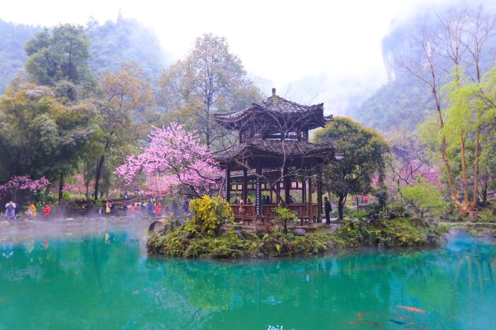 【途牛首发】一千六百年后,再见桃花源【多图】_重庆酉阳桃花源景区