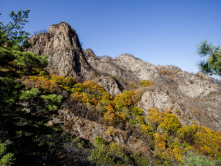 拉法山国家森林公园