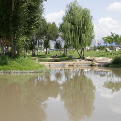 青城公园