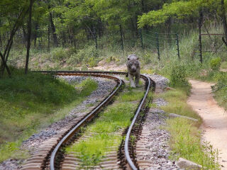 秦皇岛野生动物园