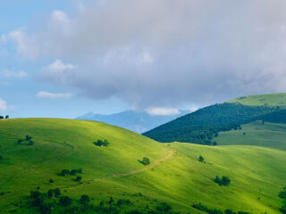 黄岗梁国家森林公园