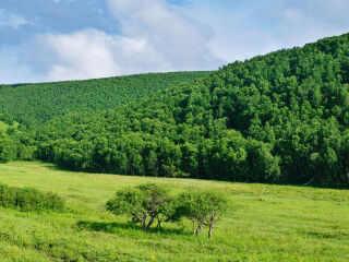 黄岗梁国家森林公园