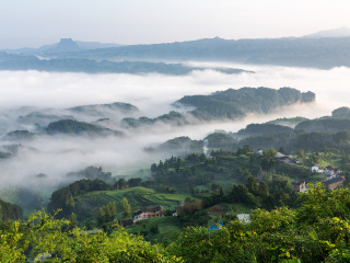 金佛山