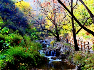 云丘山