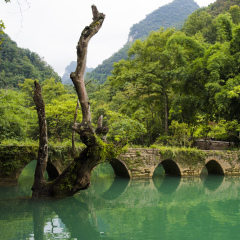小交通模块 