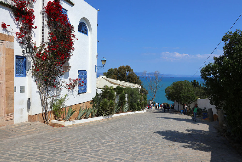 北非旅行记十徜徉在地中海畔