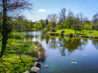 剑桥大学植物园