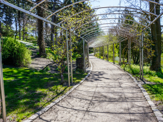 剑桥大学植物园