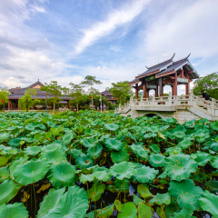 景点模块 