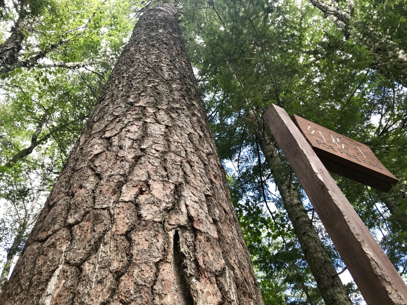 长白山镜泊湖,跨越两省的消暑纳凉行