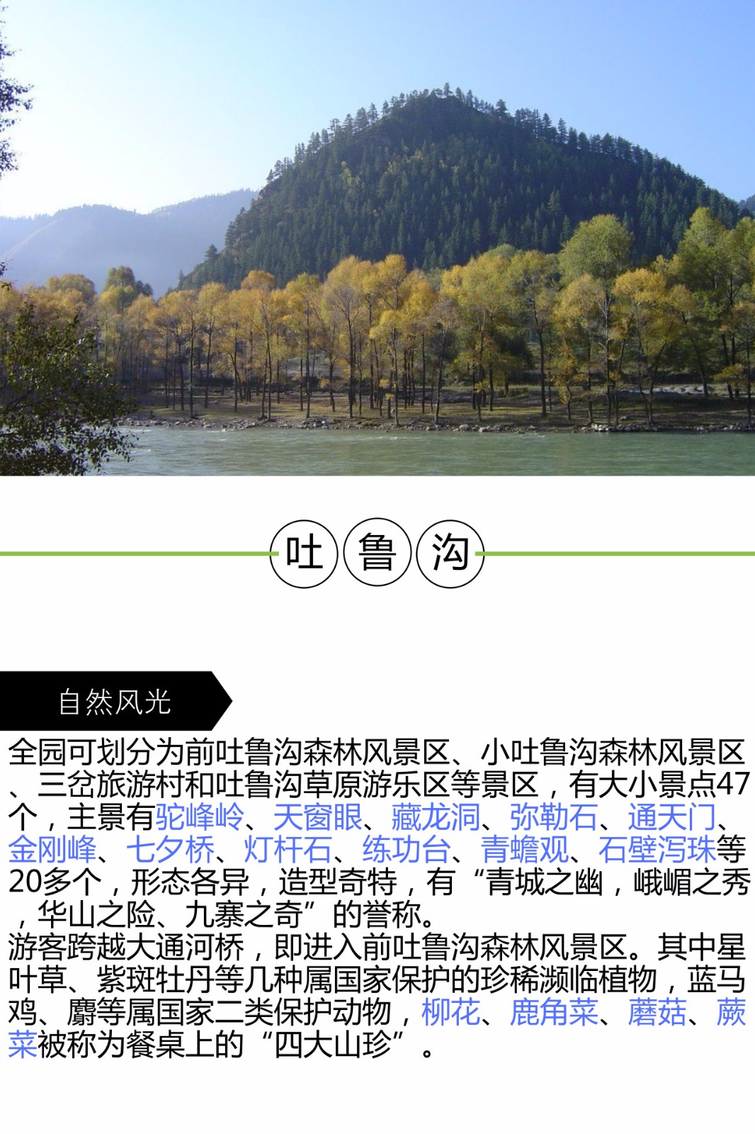 连城林内,属祁连山脉的东麓, 是一以奇山秀水为主体的自然景观旅游区