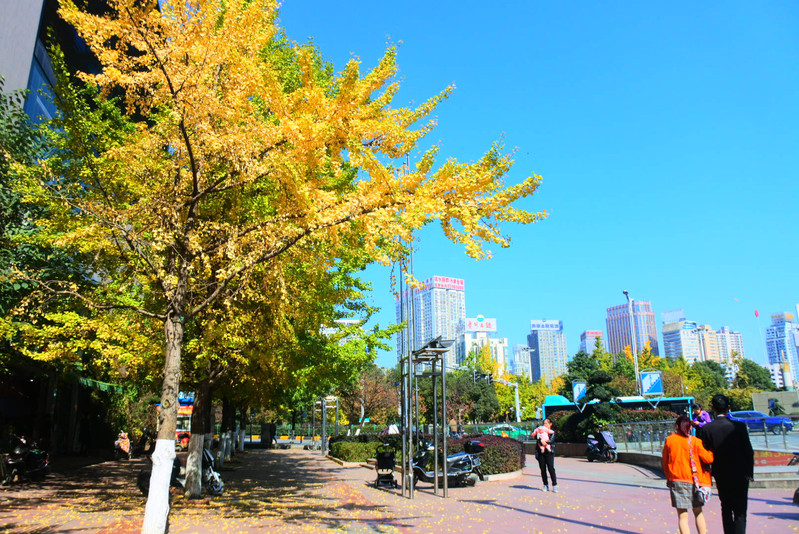 去的景點,在我看來,一是花溪公園,二是黔靈山公園,與火車站的距離對比