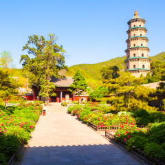 TAIYUAN,SHANXI/CHIN A-APR 28: Fengsheng Temple and peony flowers in the courty of Jinci museum on Apr 28, 2015 in Taiyuan, Shanxi, China. Jinci is a famous old garden of China.