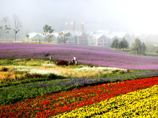 红池坝国家森林公园
