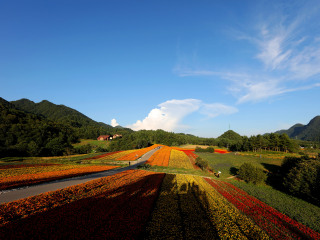 红池坝国家森林公园