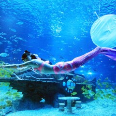 天津海昌极地海洋世界
