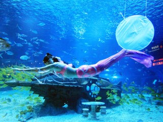 天津海昌极地海洋世界