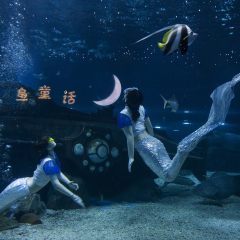 天津海昌极地海洋世界