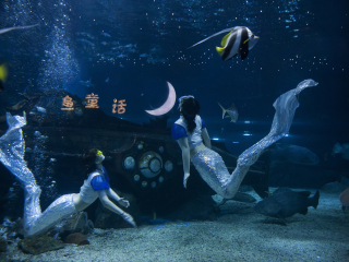 天津海昌极地海洋世界
