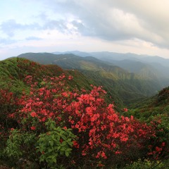 阳明山国家森林公园