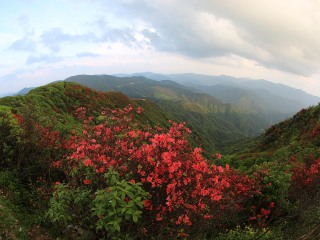 阳明山国家森林公园