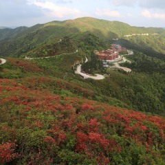阳明山国家森林公园