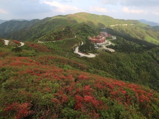 阳明山国家森林公园