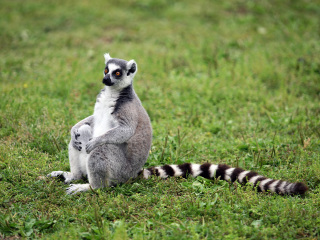 杭州野生动物世界