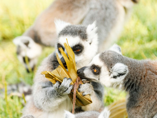 杭州野生动物世界